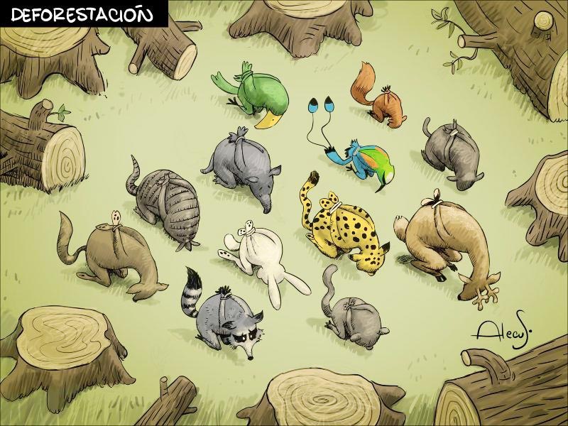 Border Crossings Fall From Record Highs But Remains