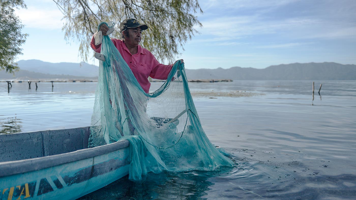 Border Crossings Fall From Record Highs But Remains