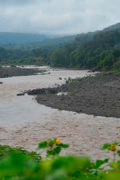 Embalse de presa El Chaparral desplazará especies y destruirá al río Torola