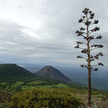 Cordillera Apaneca-Ilamatepec