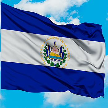 Bandera Azul Cobalto