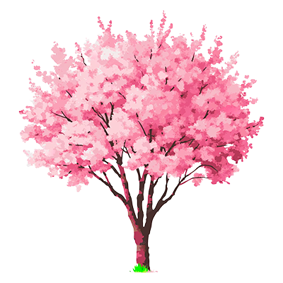 Árbol de Maquilishuat